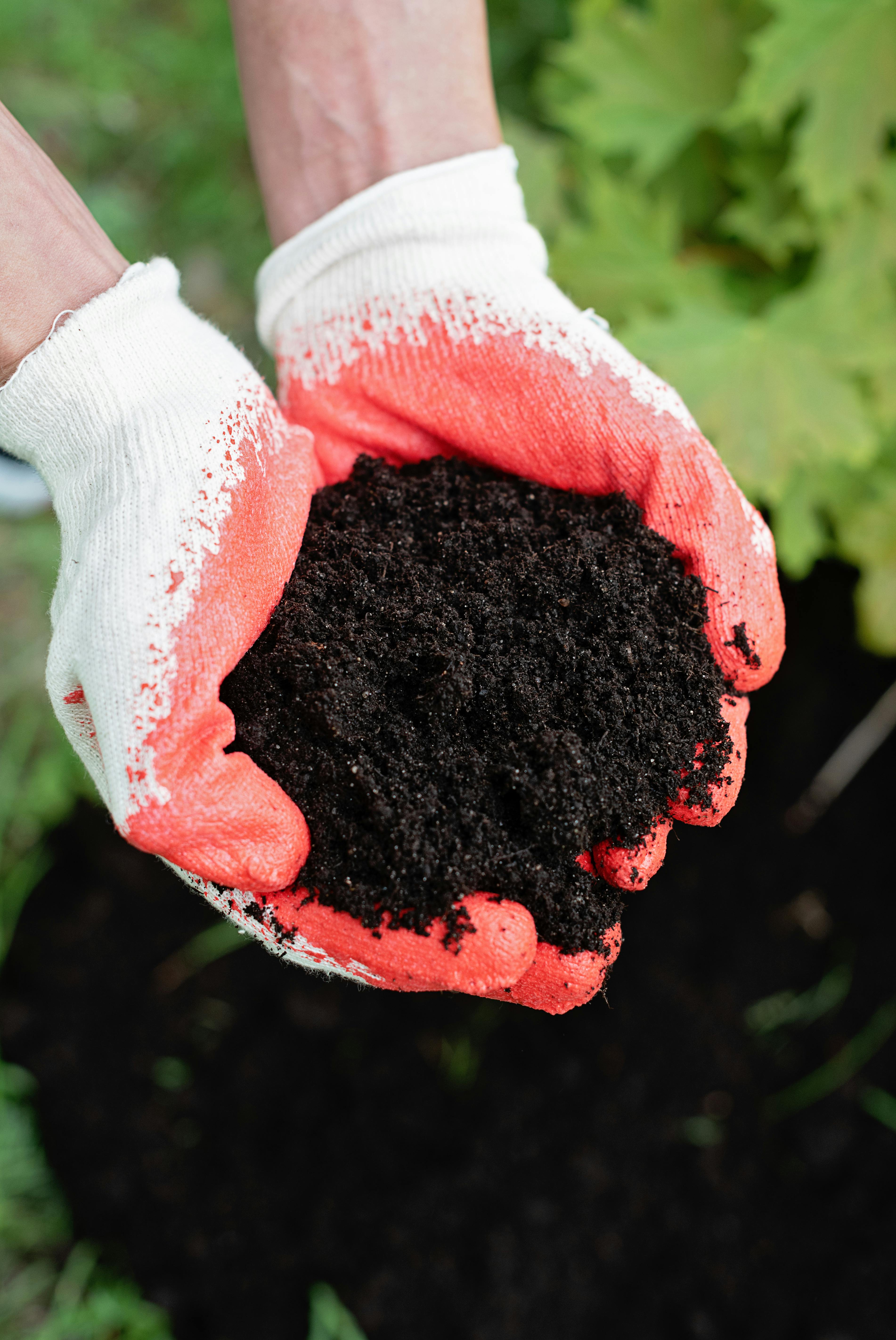 A hand with a garden glove holding soil